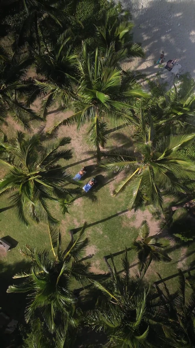 Massage sur mesure à la Plage